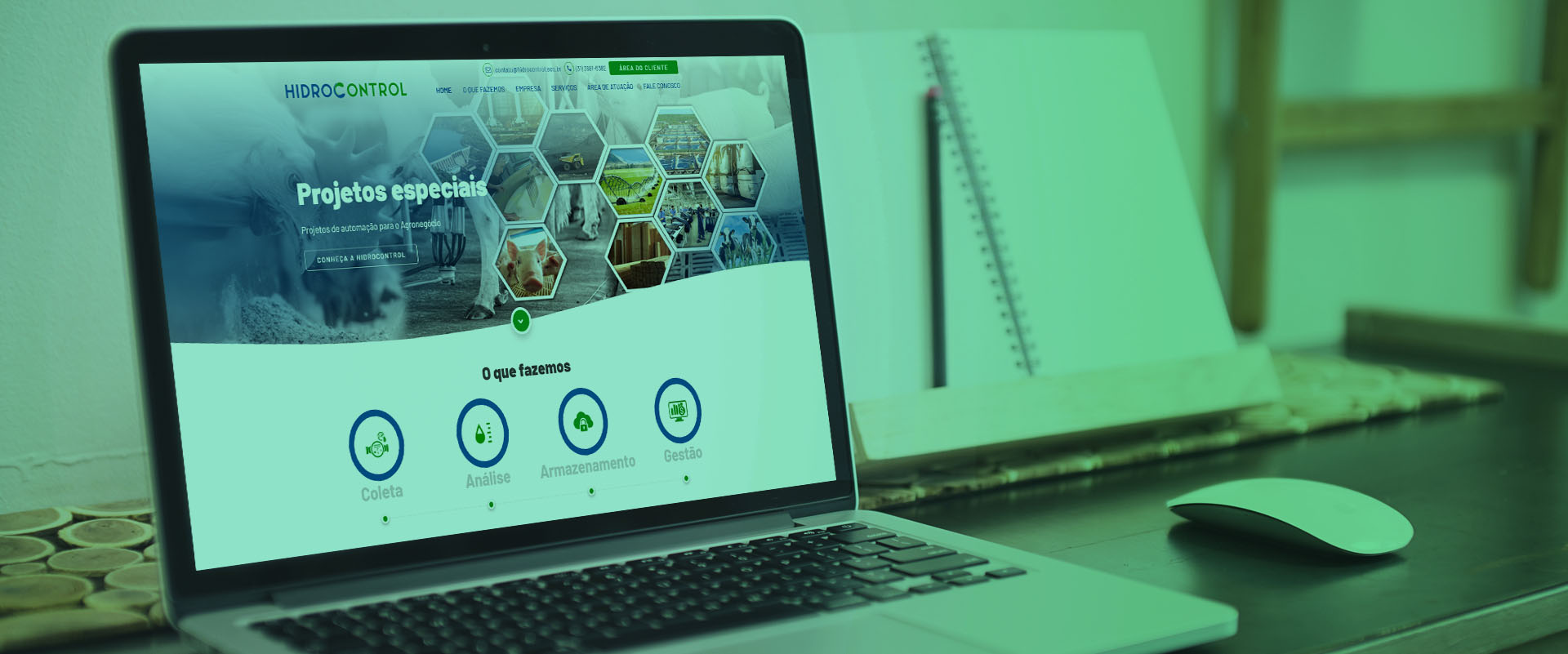 Criação de sites empresas de preservação ambiental